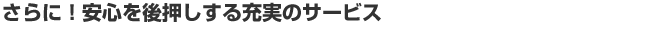 ɁIS㉟[̃T[rX
